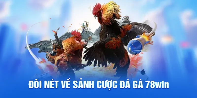 Trận đấu đá gà truyền thống